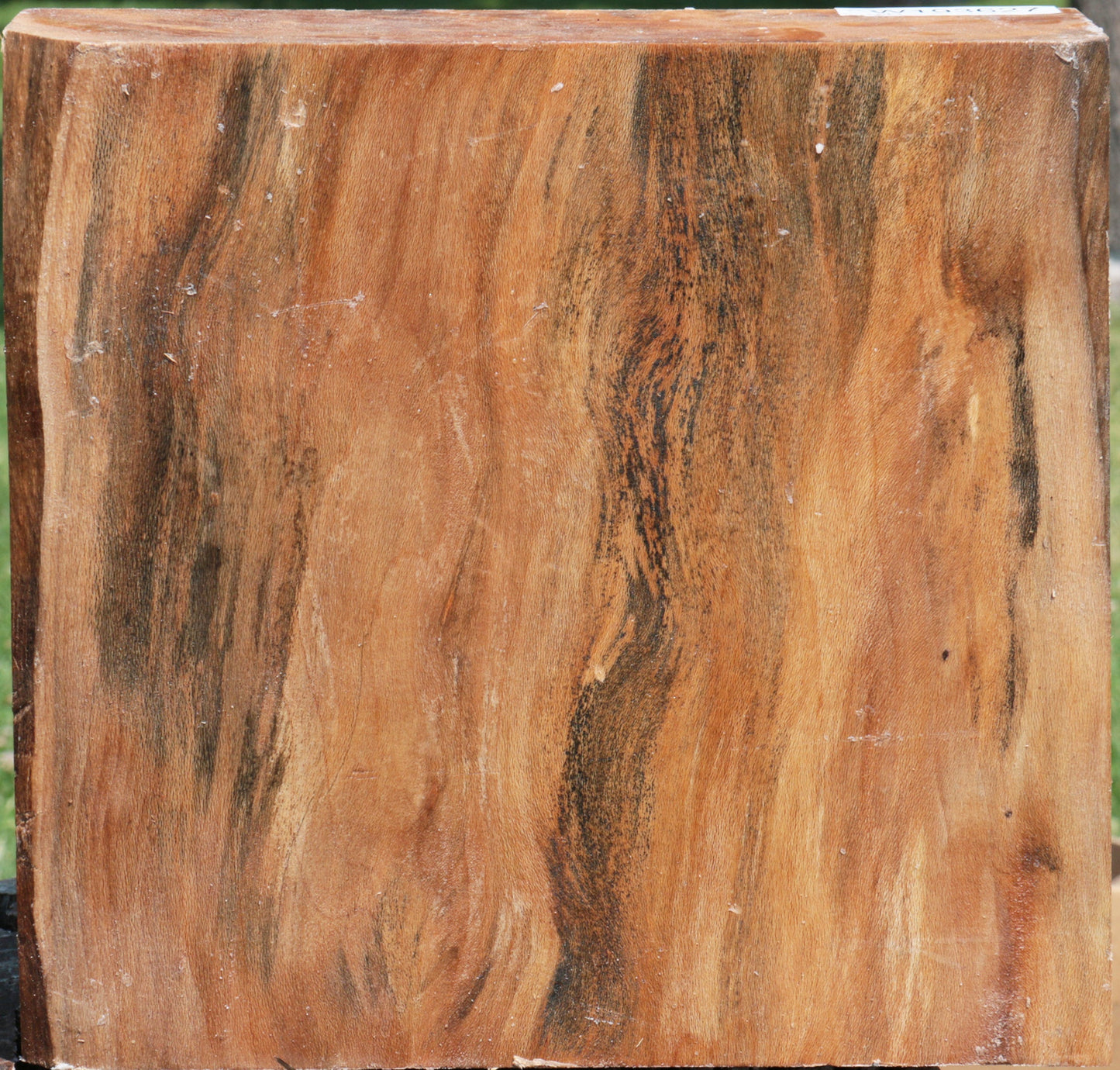 Sycamore Live Edge Bowl Blank
