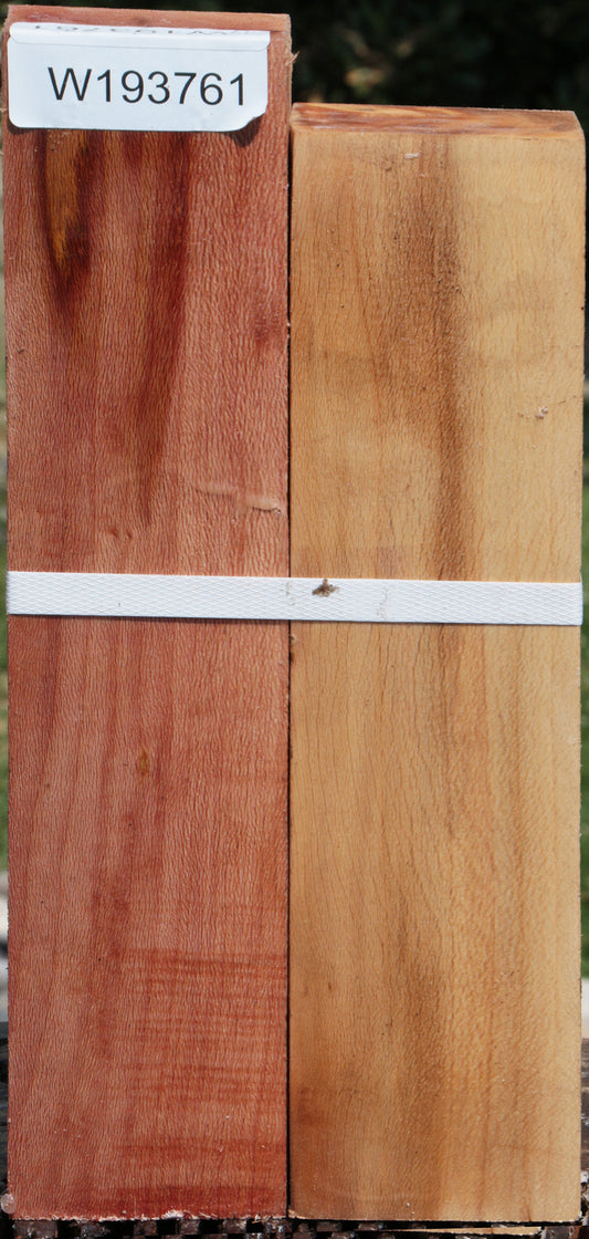 Sycamore Peppermill 2 Pack