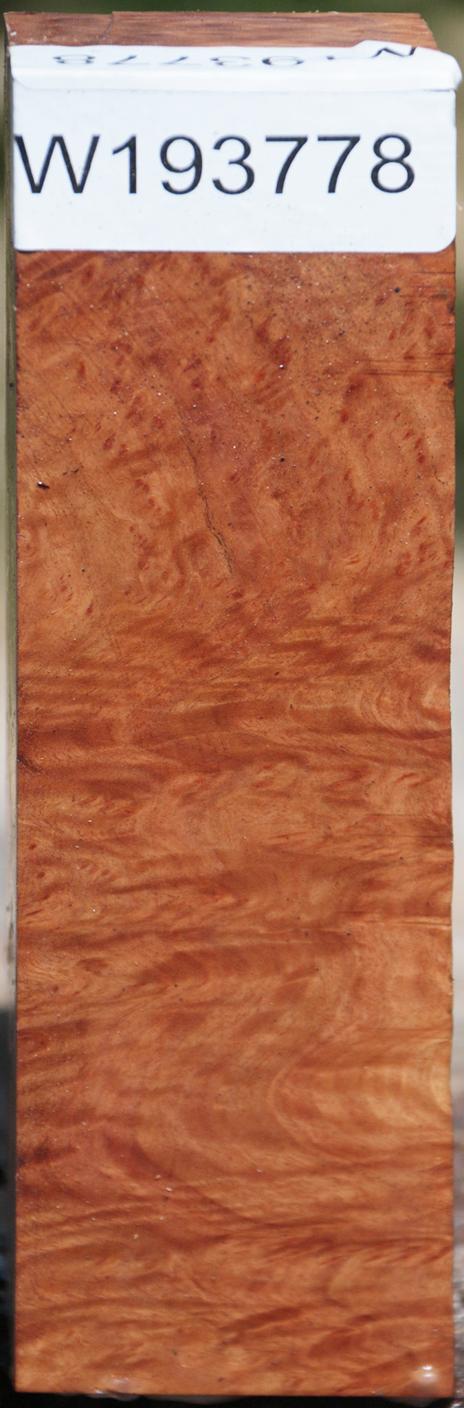 Exhibition Brown Mallee Burl Turning Square