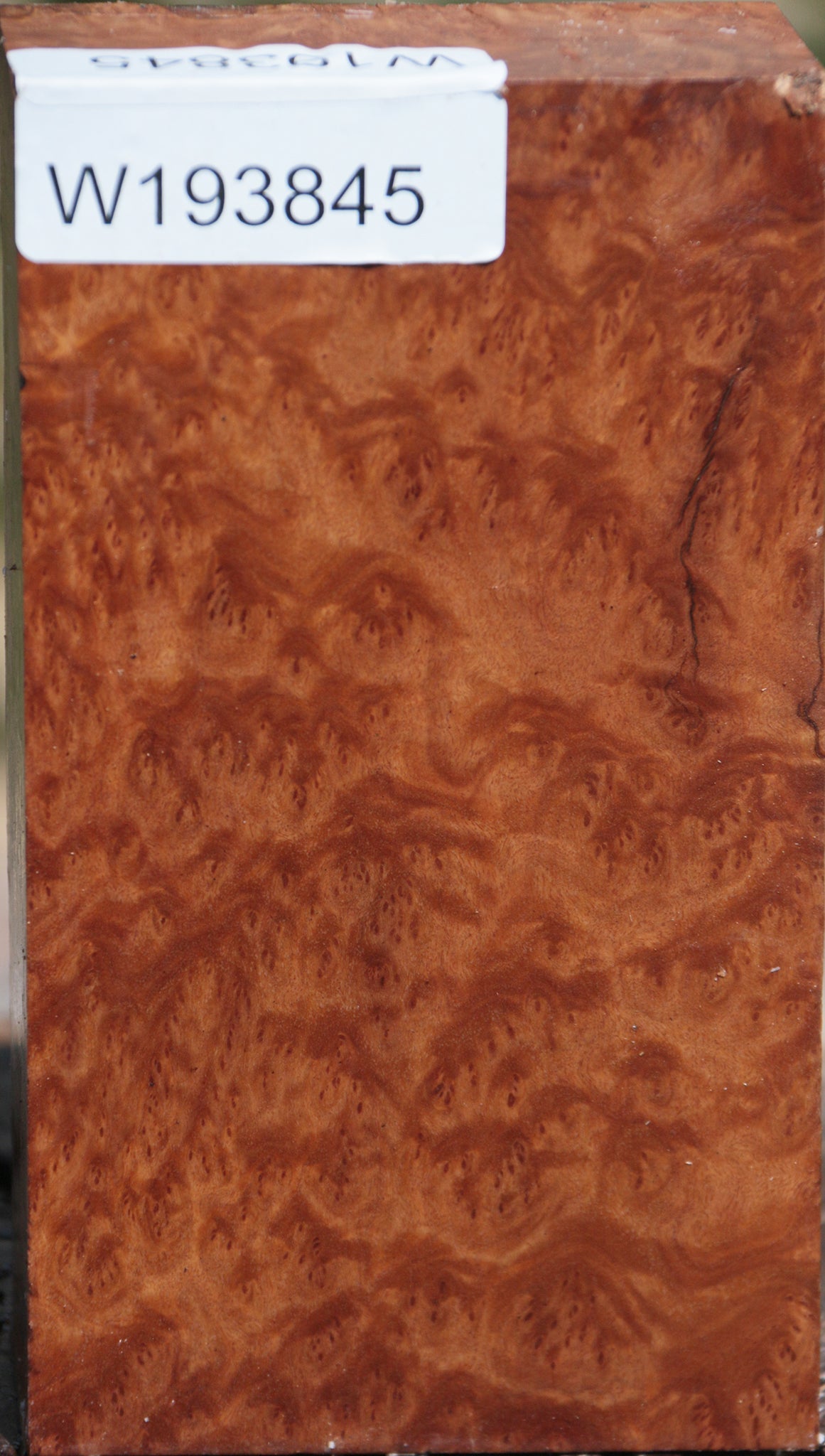 Exhibition Red Mallee Burl Turning Blank