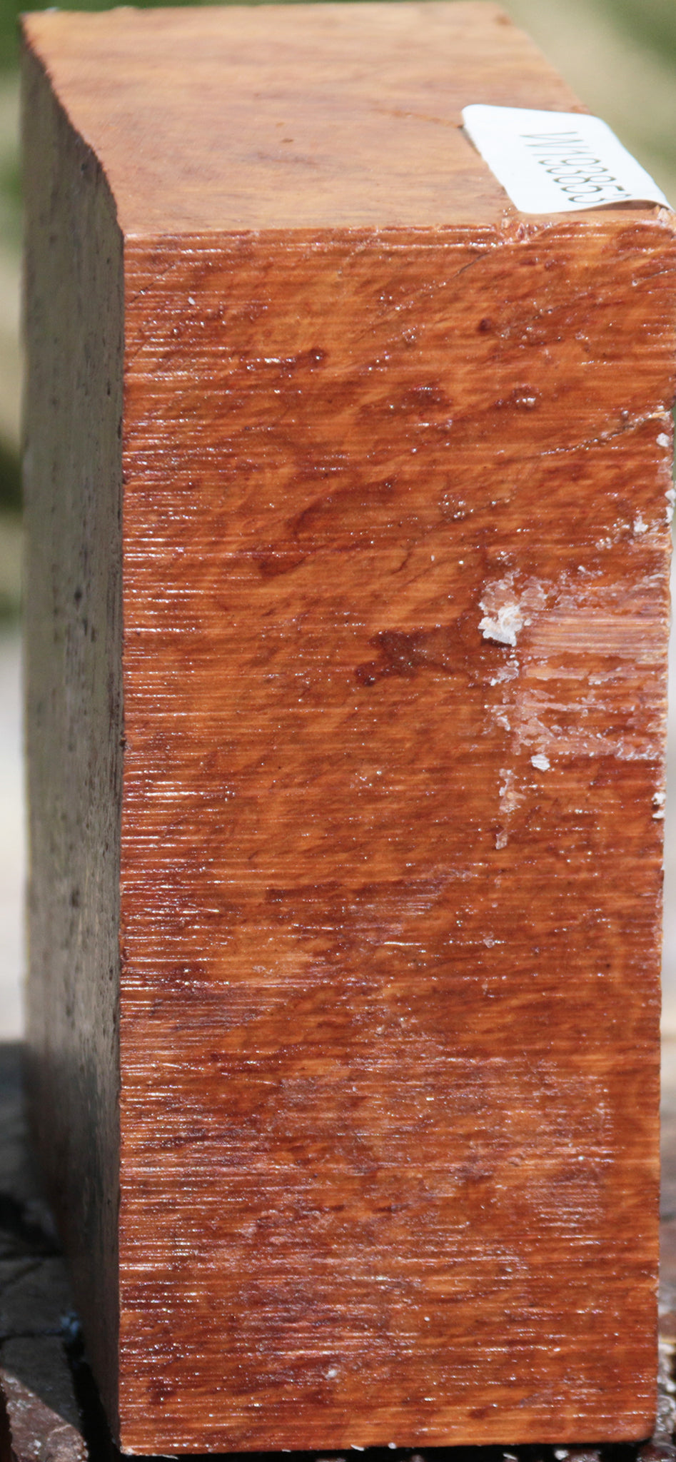 Exhibition Yellowbox Burl Bowl Blank