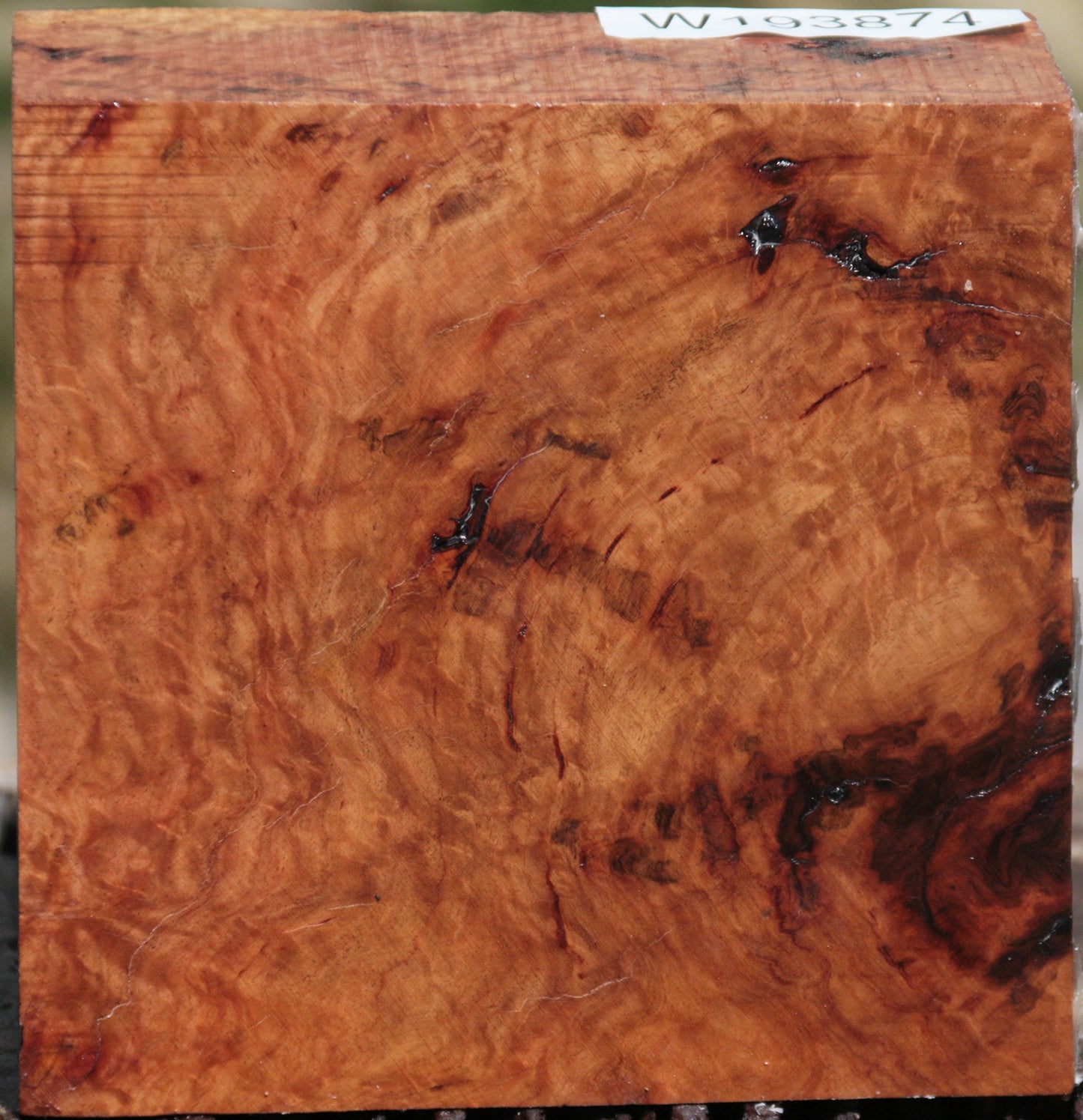Extra Fancy Brown Mallee Burl Bowl Blank
