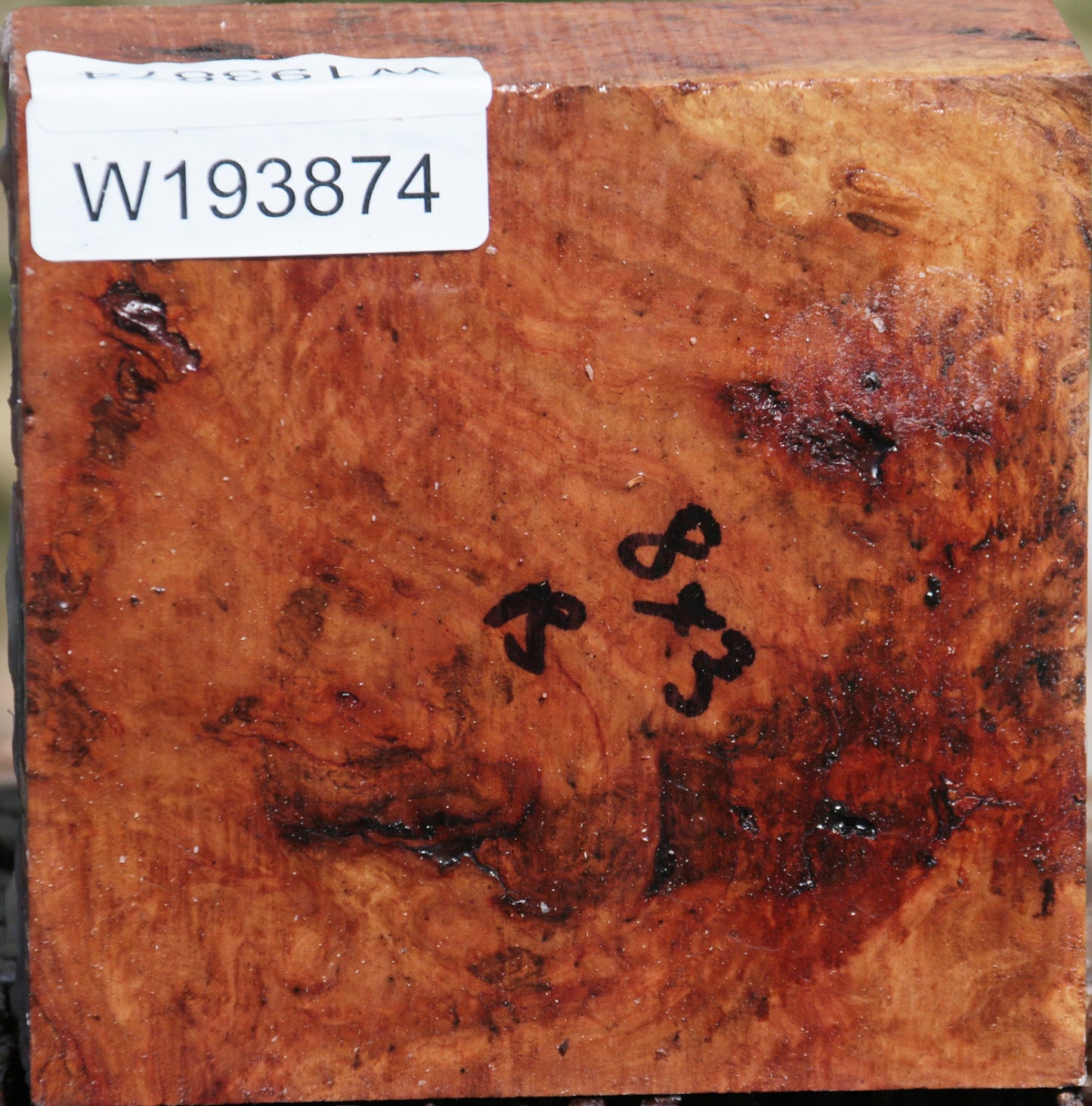 Extra Fancy Brown Mallee Burl Bowl Blank