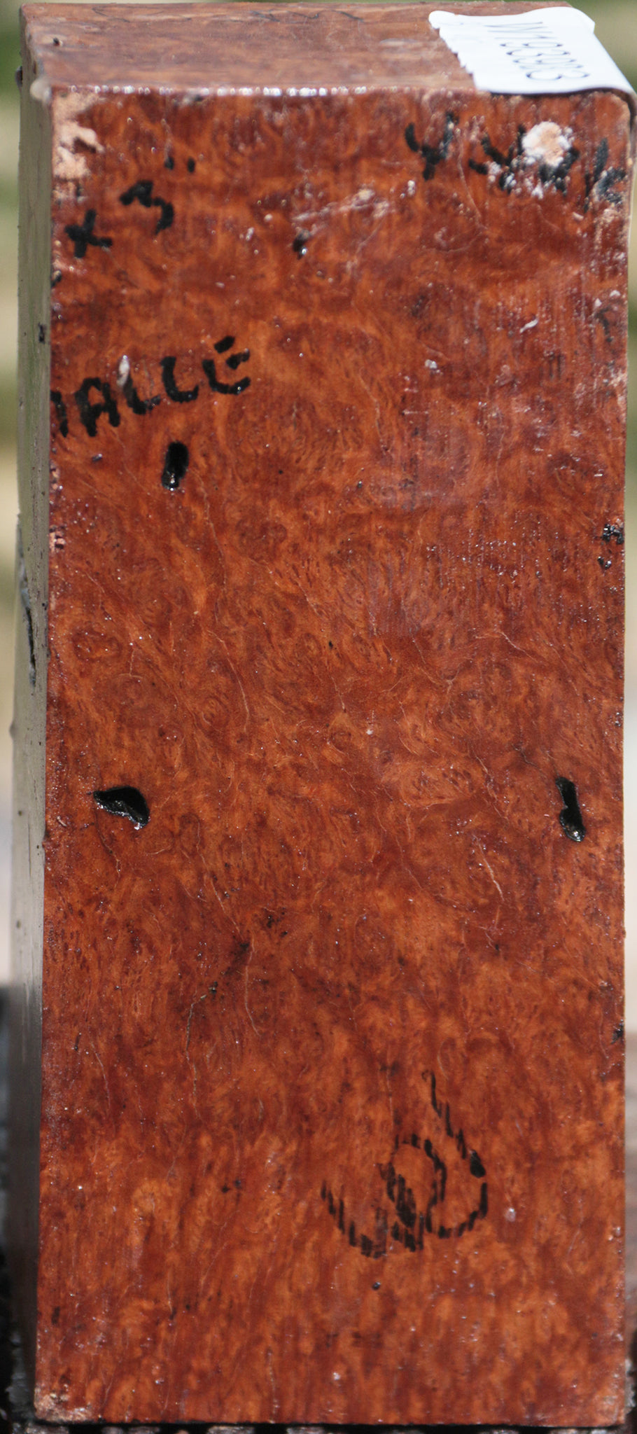 Brown Mallee Burl Turning Square