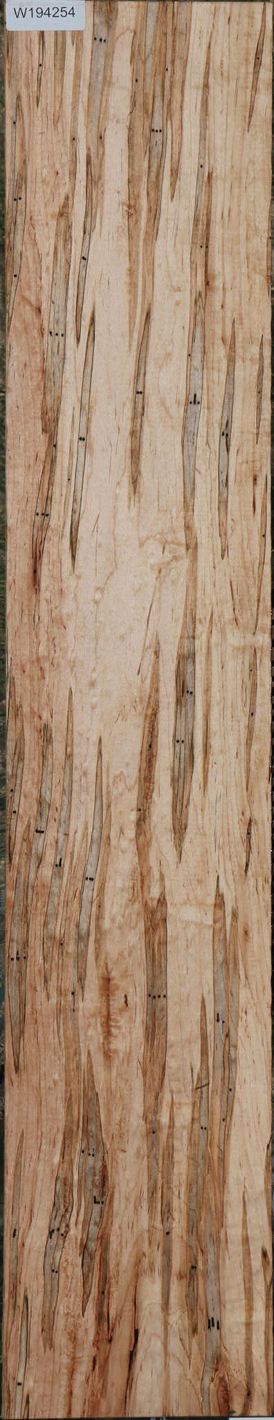 Extra Fancy Fiddleback Ambrosia Maple Lumber