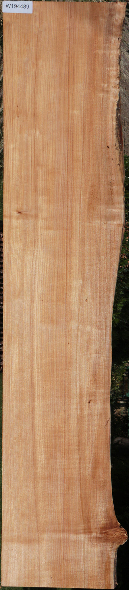 Western Maple Live Edge Lumber