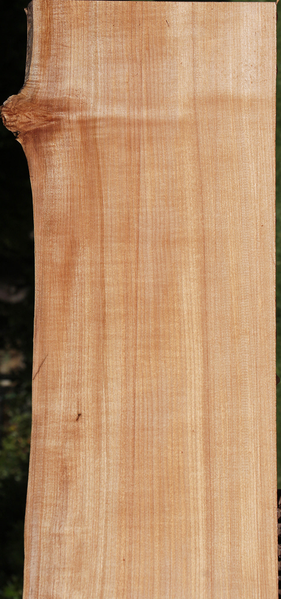 Western Maple Live Edge Lumber