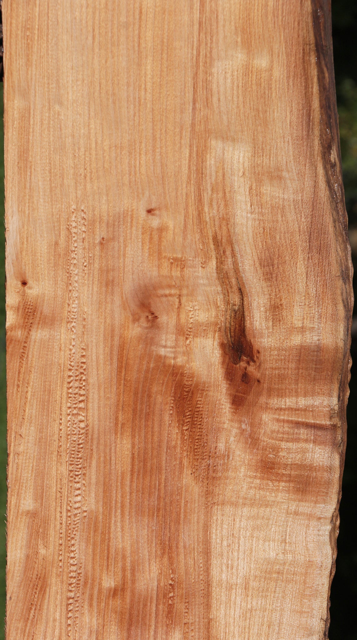 Western Maple Live Edge Lumber