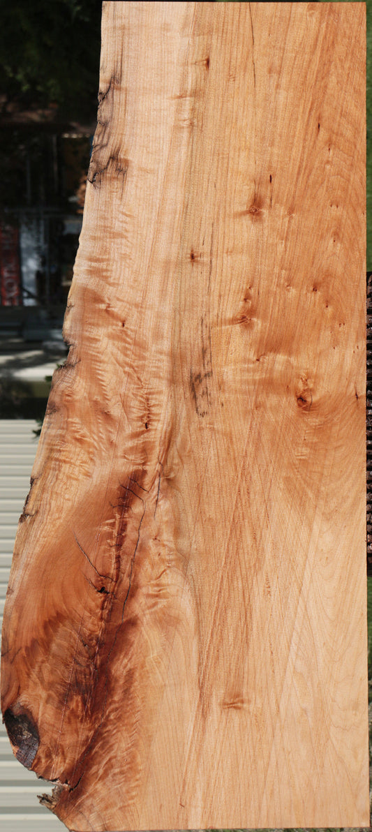 Western Maple Live Edge Lumber