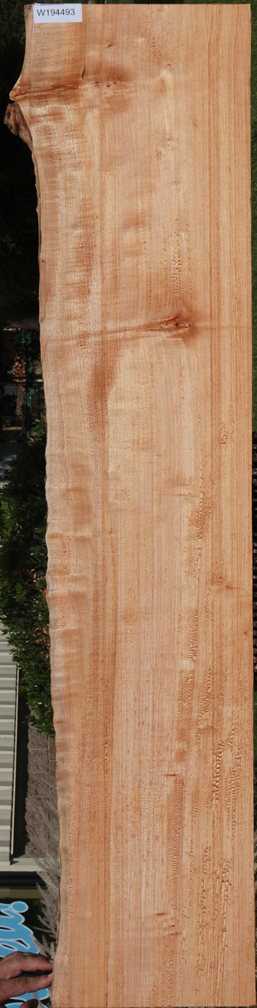 Western Maple Live Edge Lumber