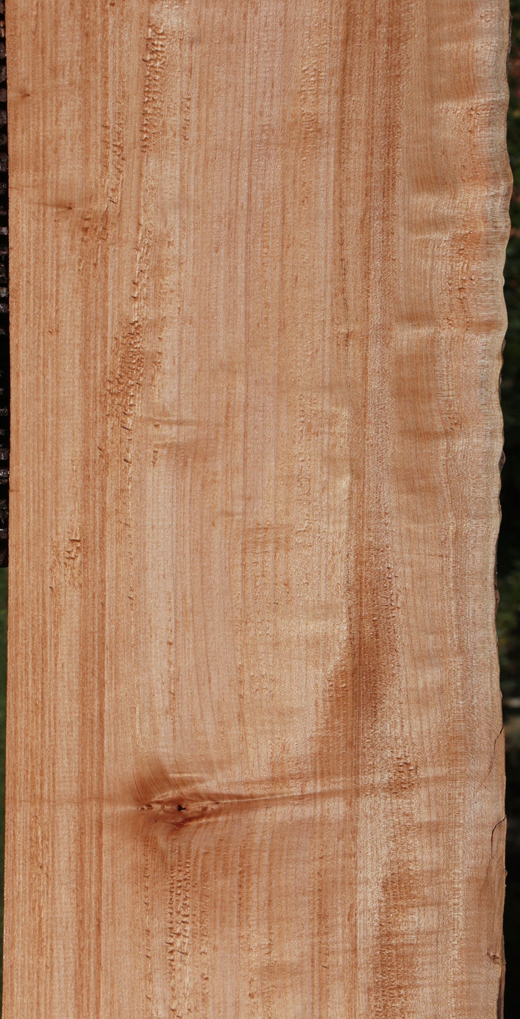 Western Maple Live Edge Lumber