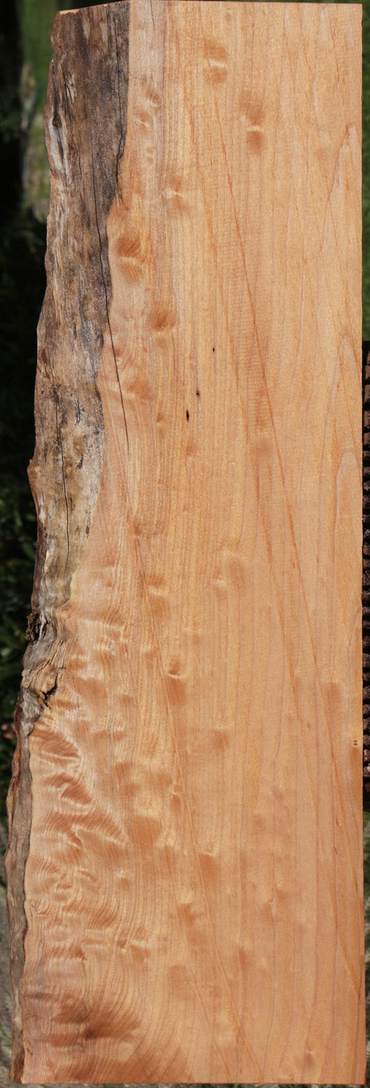 Western Maple Live Edge Lumber