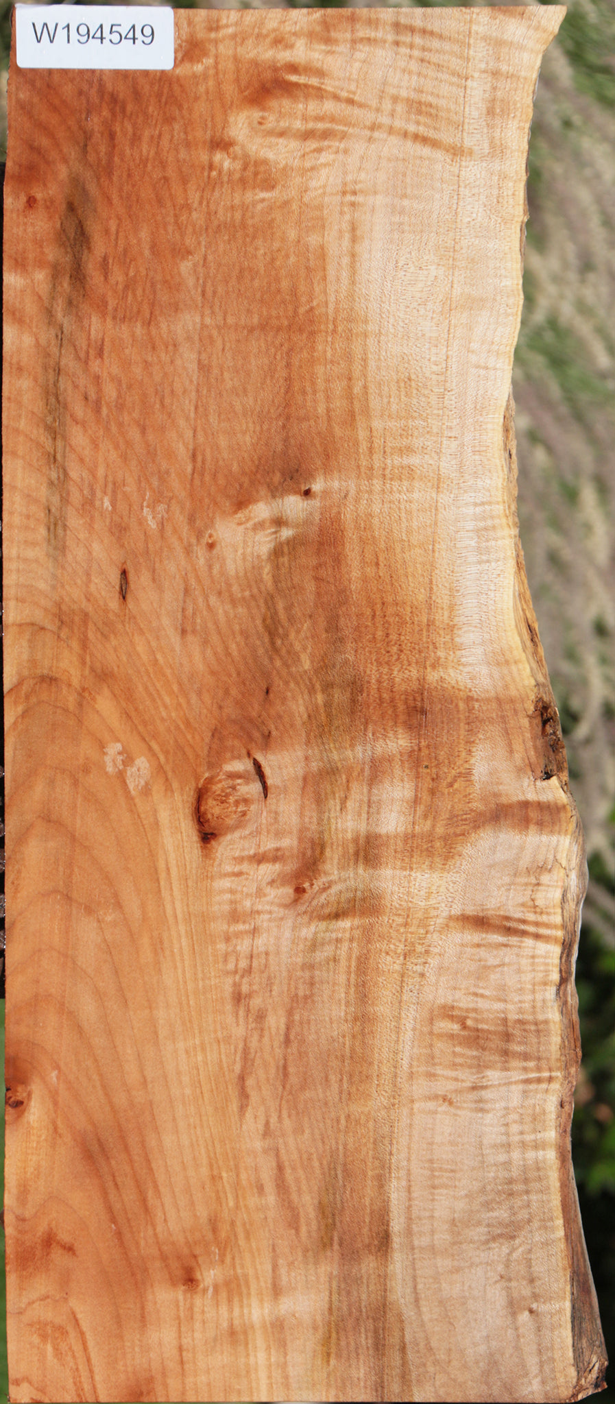 Western Maple Live Edge Lumber