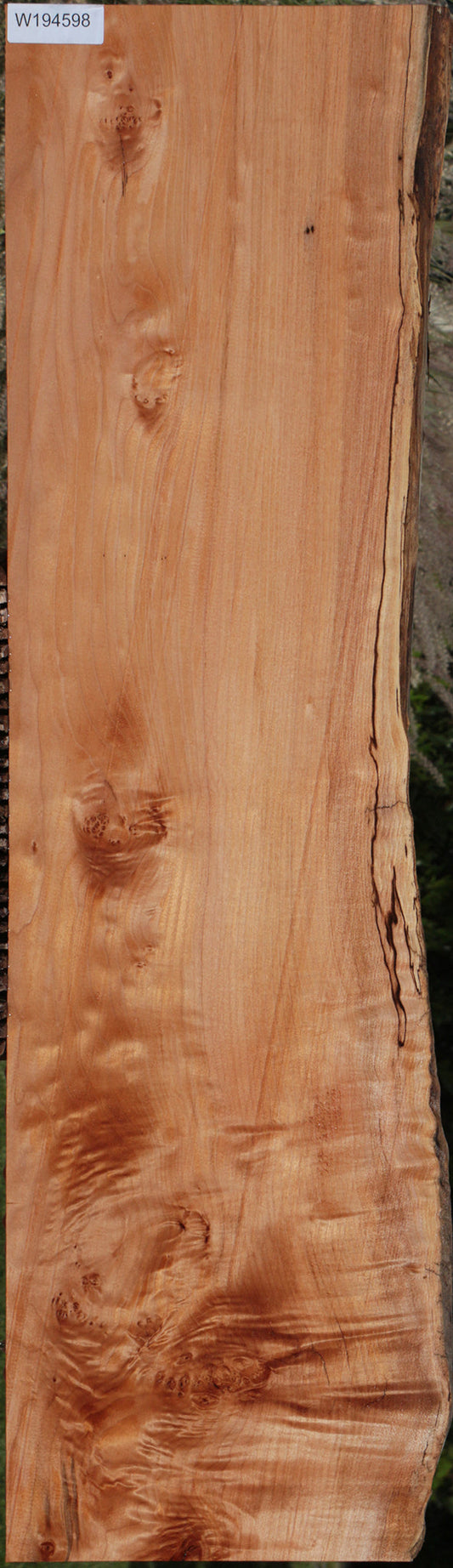 Extra Fancy Western Maple Burl Live Edge Lumber