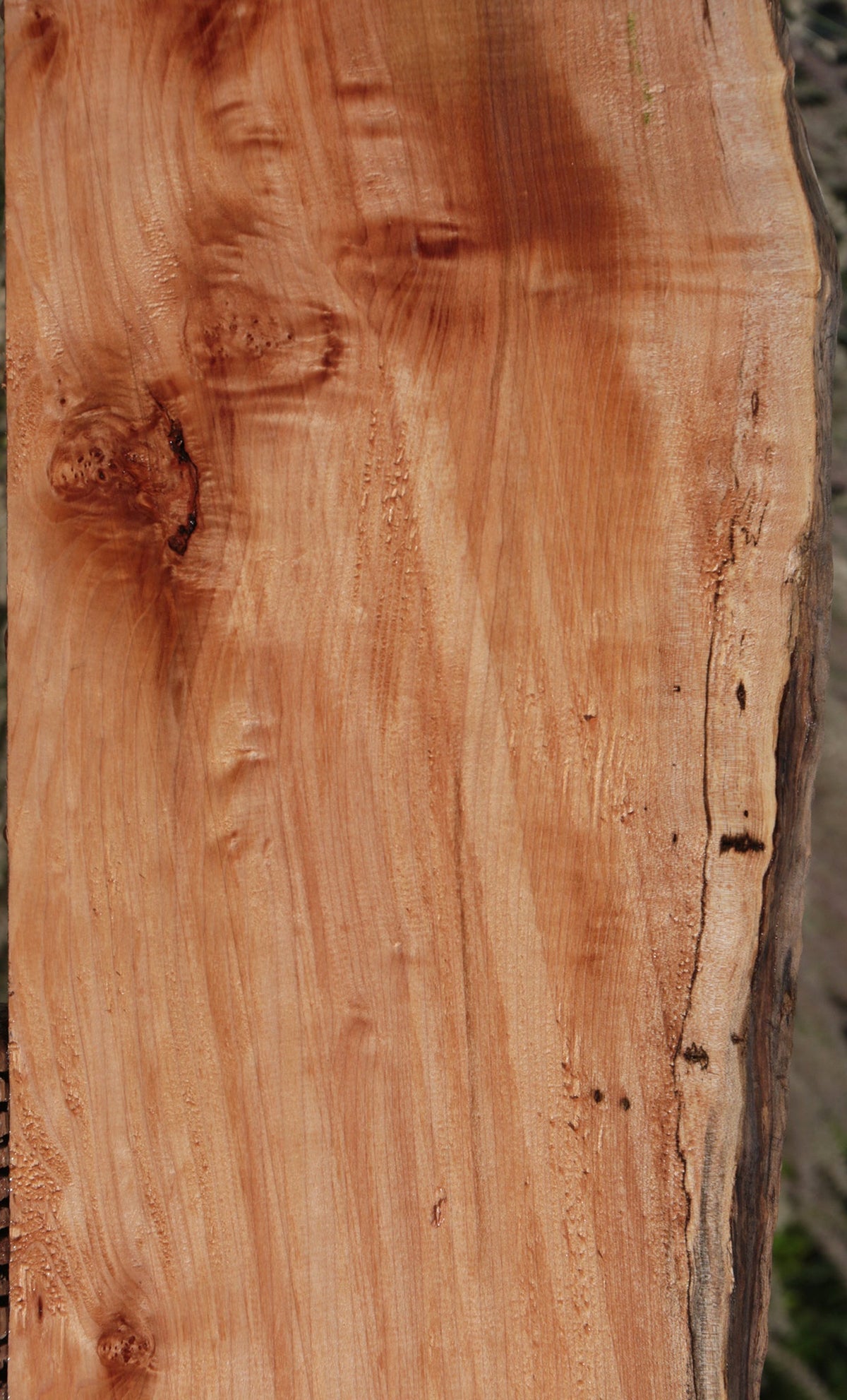 Western Maple Pattern Extra Fancy Western Maple Burl Live Edge Lumber – Cook Woods
