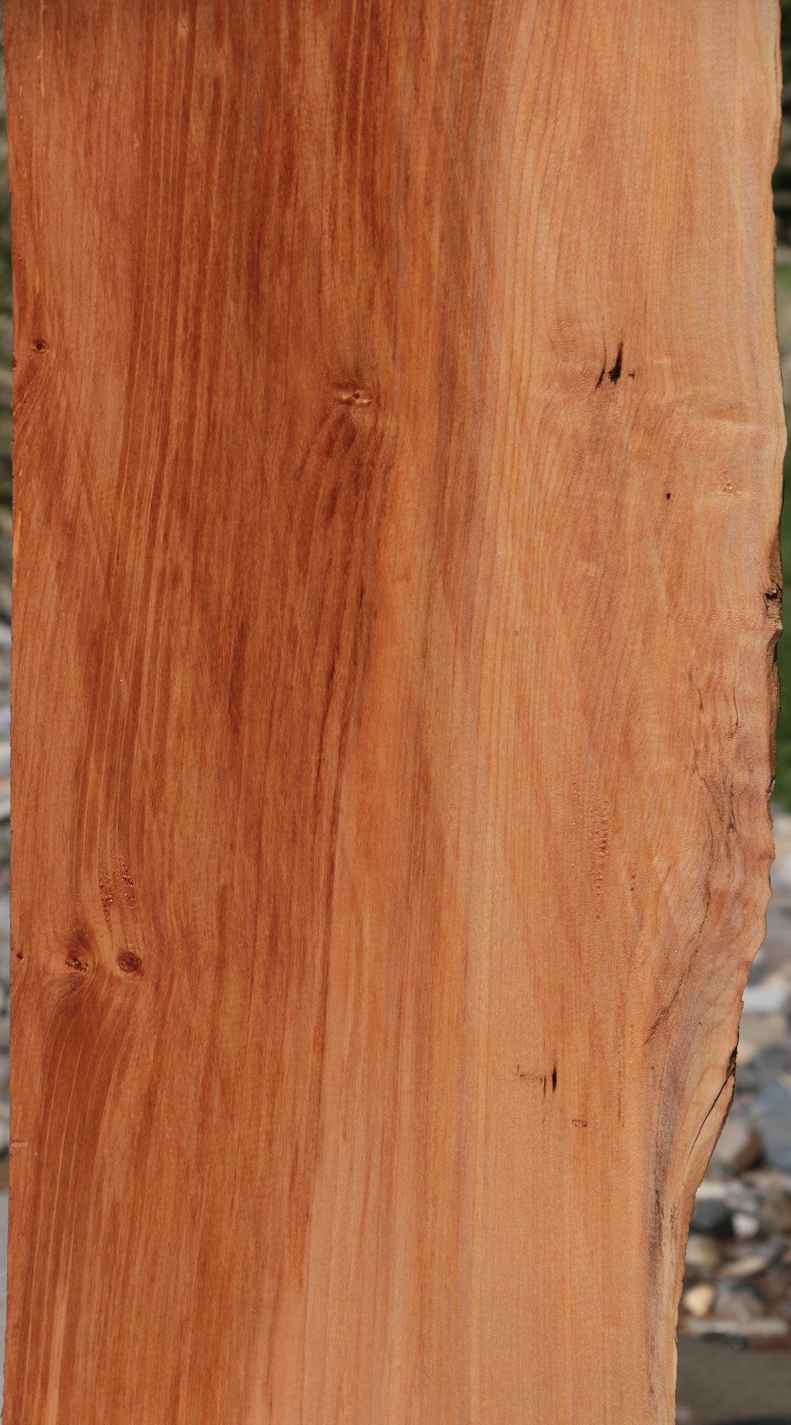 Western Maple Live Edge Lumber
