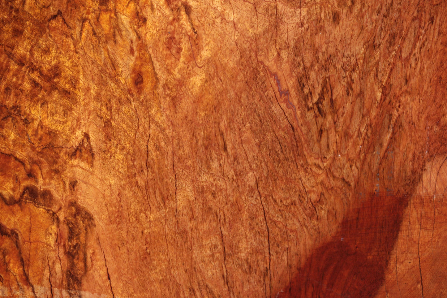 Rustic Exhibition Jatoba Live Edge Slab