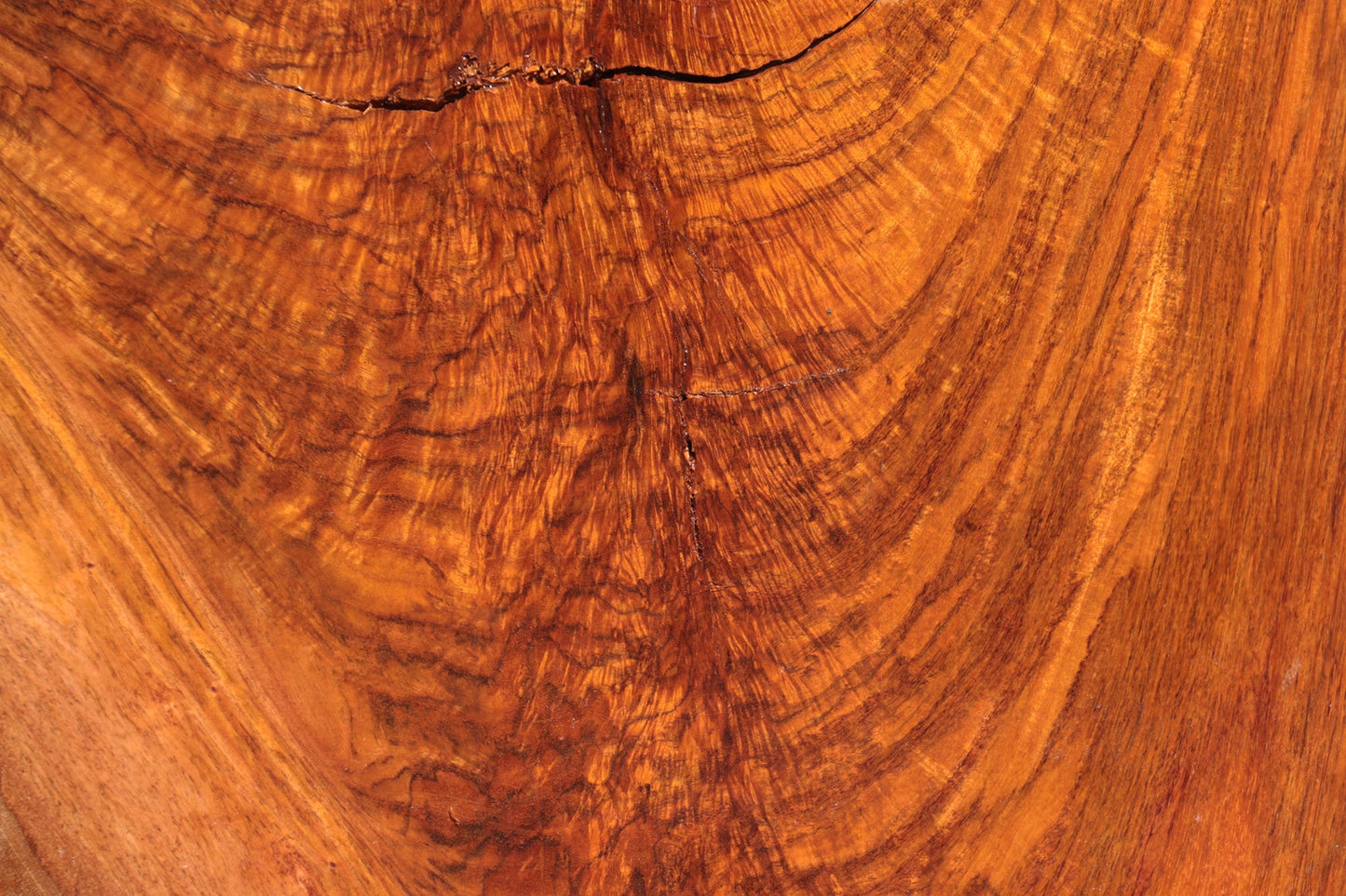 Rustic Exhibition Jatoba Live Edge Slab