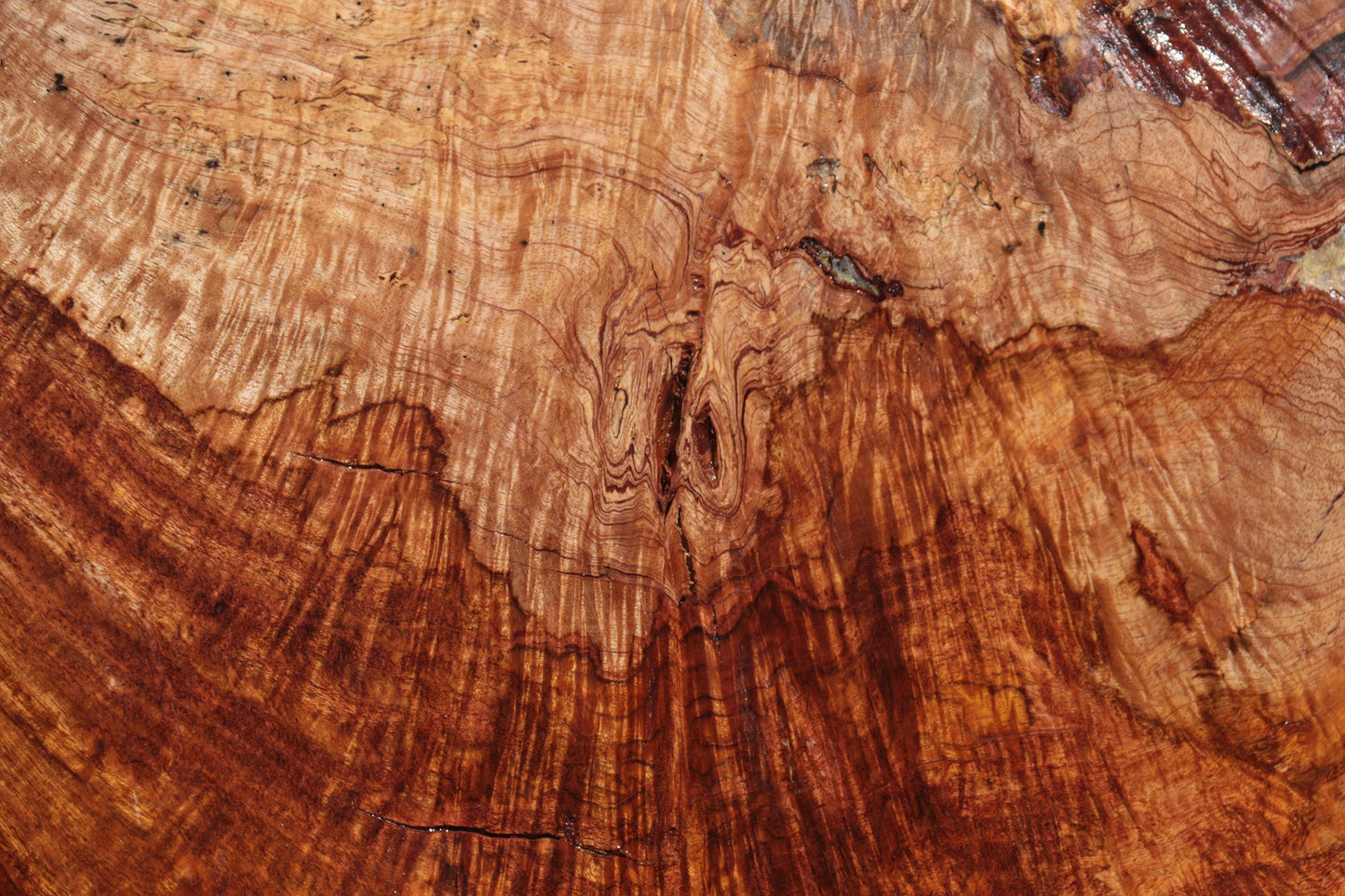 Rustic Exhibition Jatoba Live Edge Slab