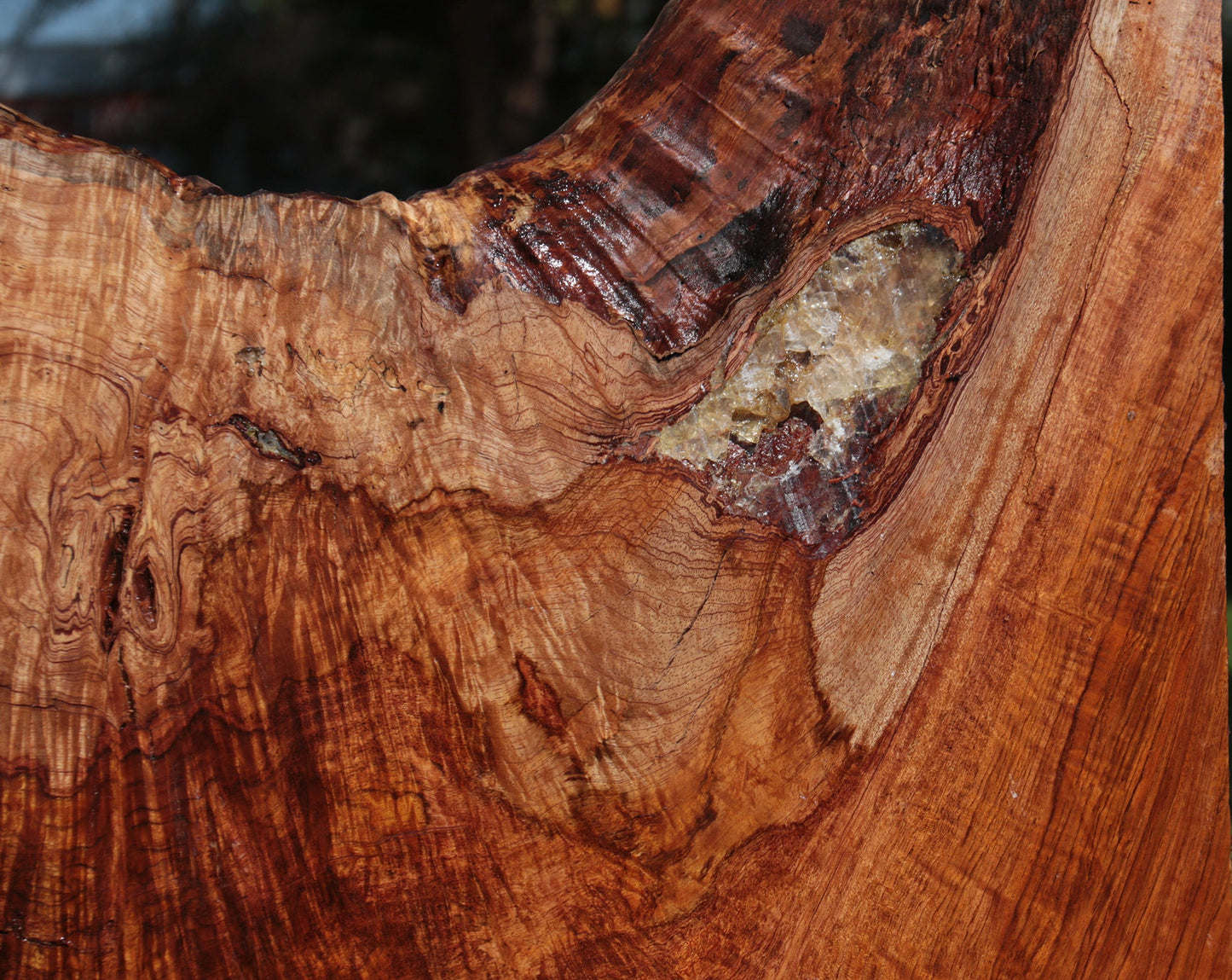 Rustic Exhibition Jatoba Live Edge Slab