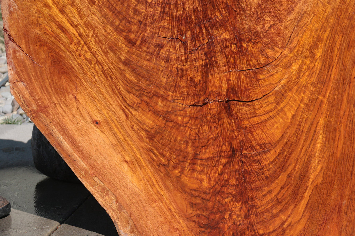 Rustic Exhibition Jatoba Live Edge Slab