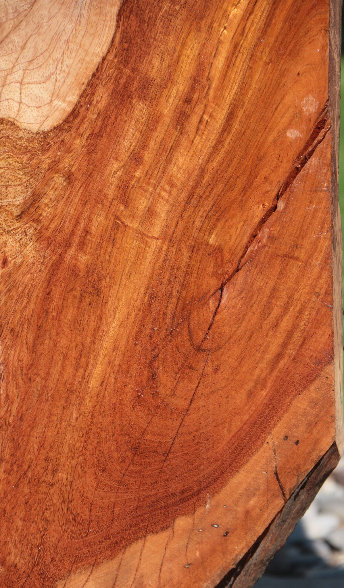 Rustic Exhibition Jatoba Live Edge Slab