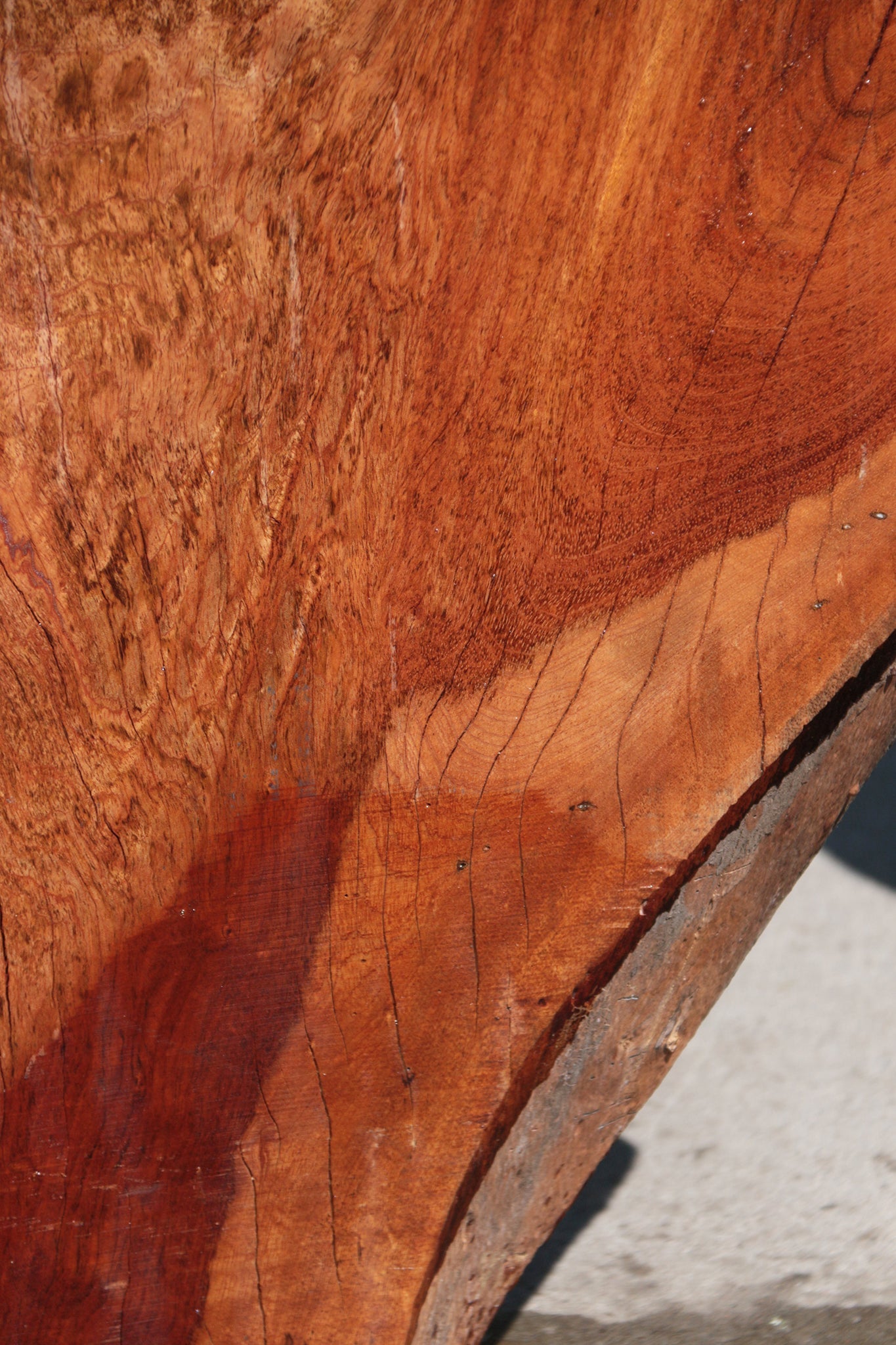 Rustic Exhibition Jatoba Live Edge Slab