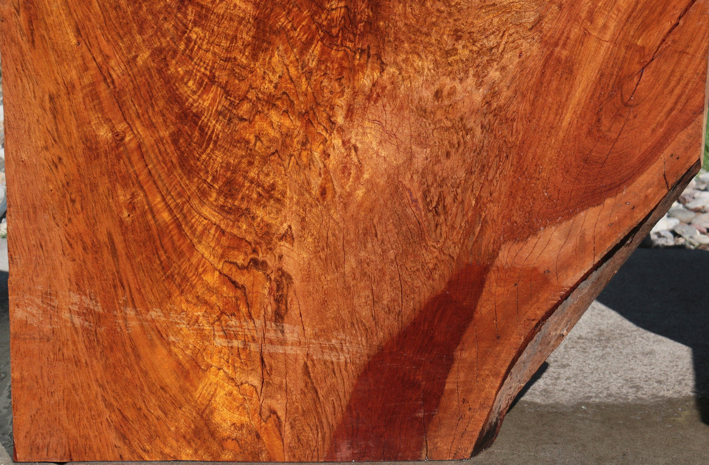Rustic Exhibition Jatoba Live Edge Slab