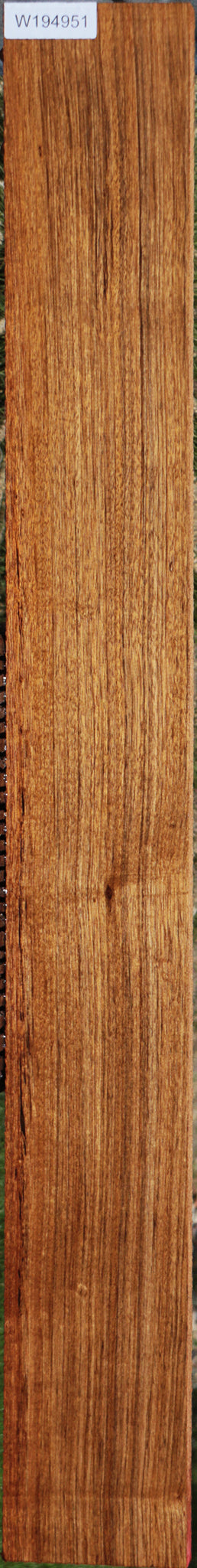 Amazique Lumber