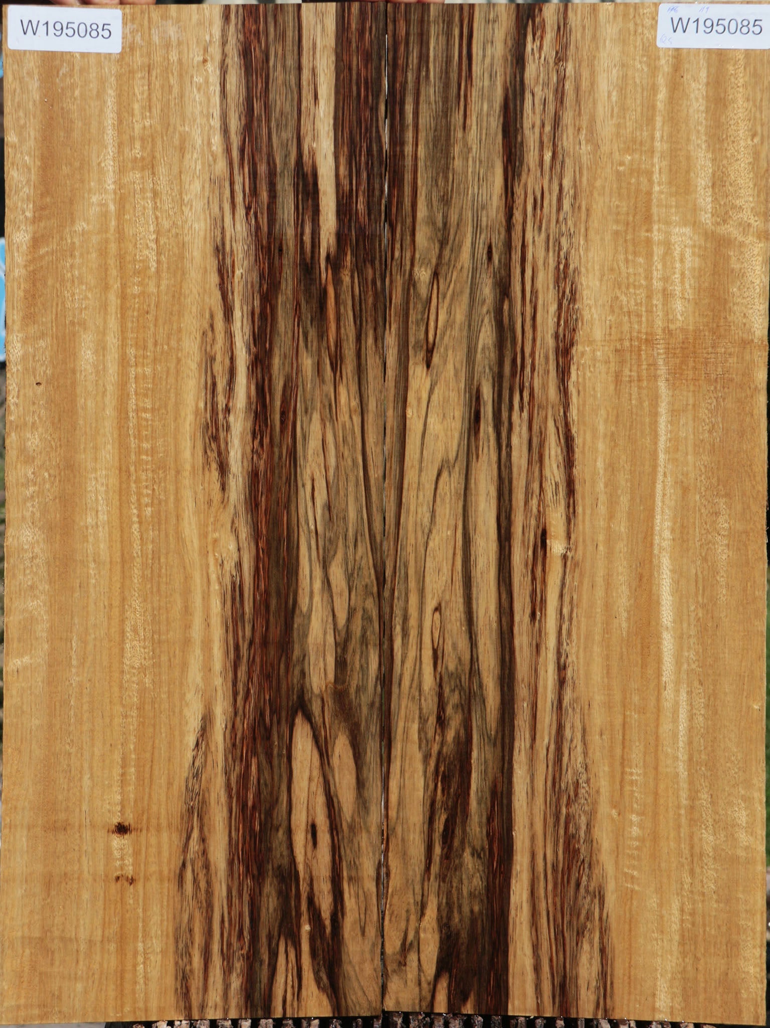 Black Limba – Cook Woods