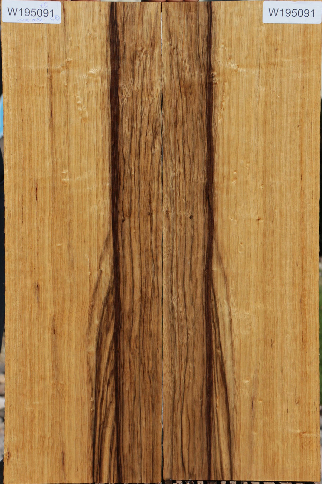 Black Limba – Cook Woods