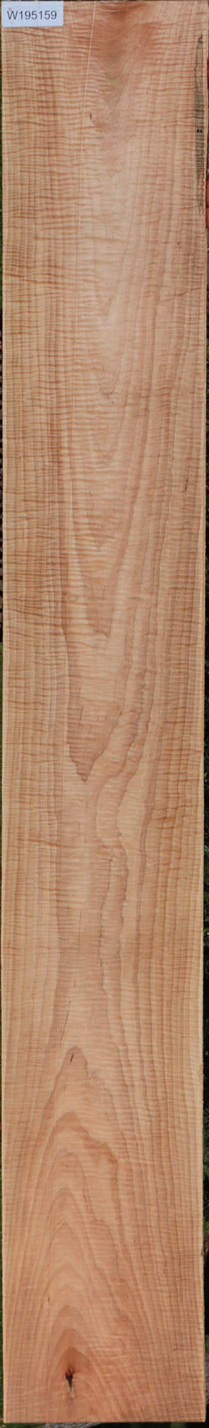 Extra Fancy Curly Eastern Red Maple Lumber