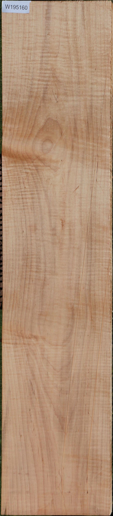 Extra Fancy Curly Eastern Red Maple Lumber