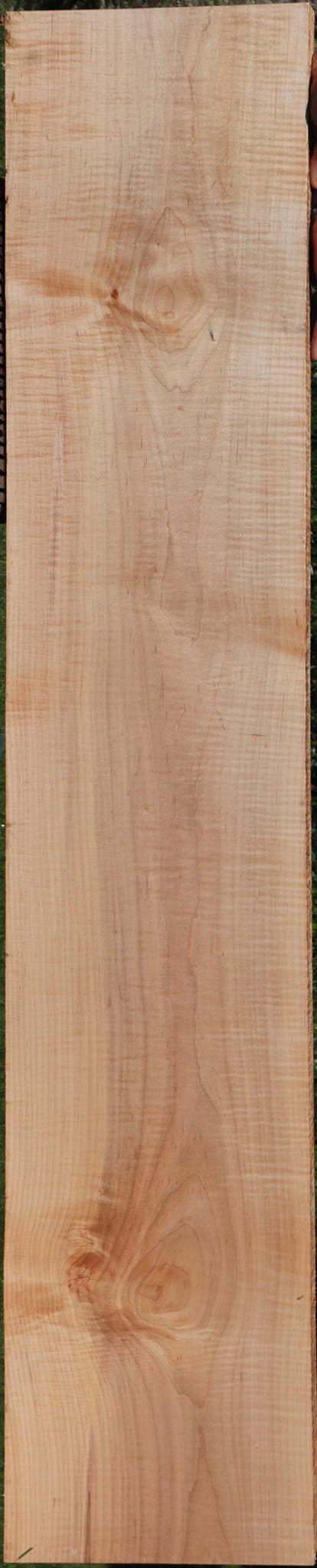 Extra Fancy Curly Eastern Red Maple Lumber