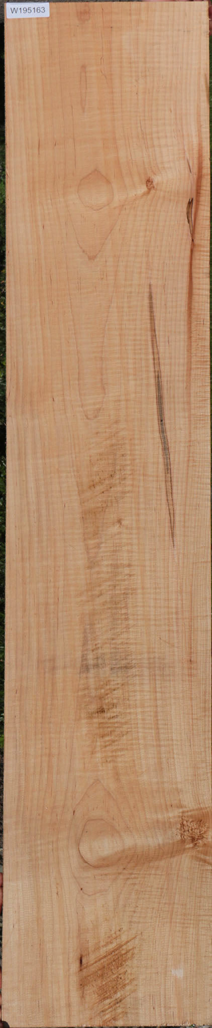 Extra Fancy Curly Eastern Red Maple Lumber