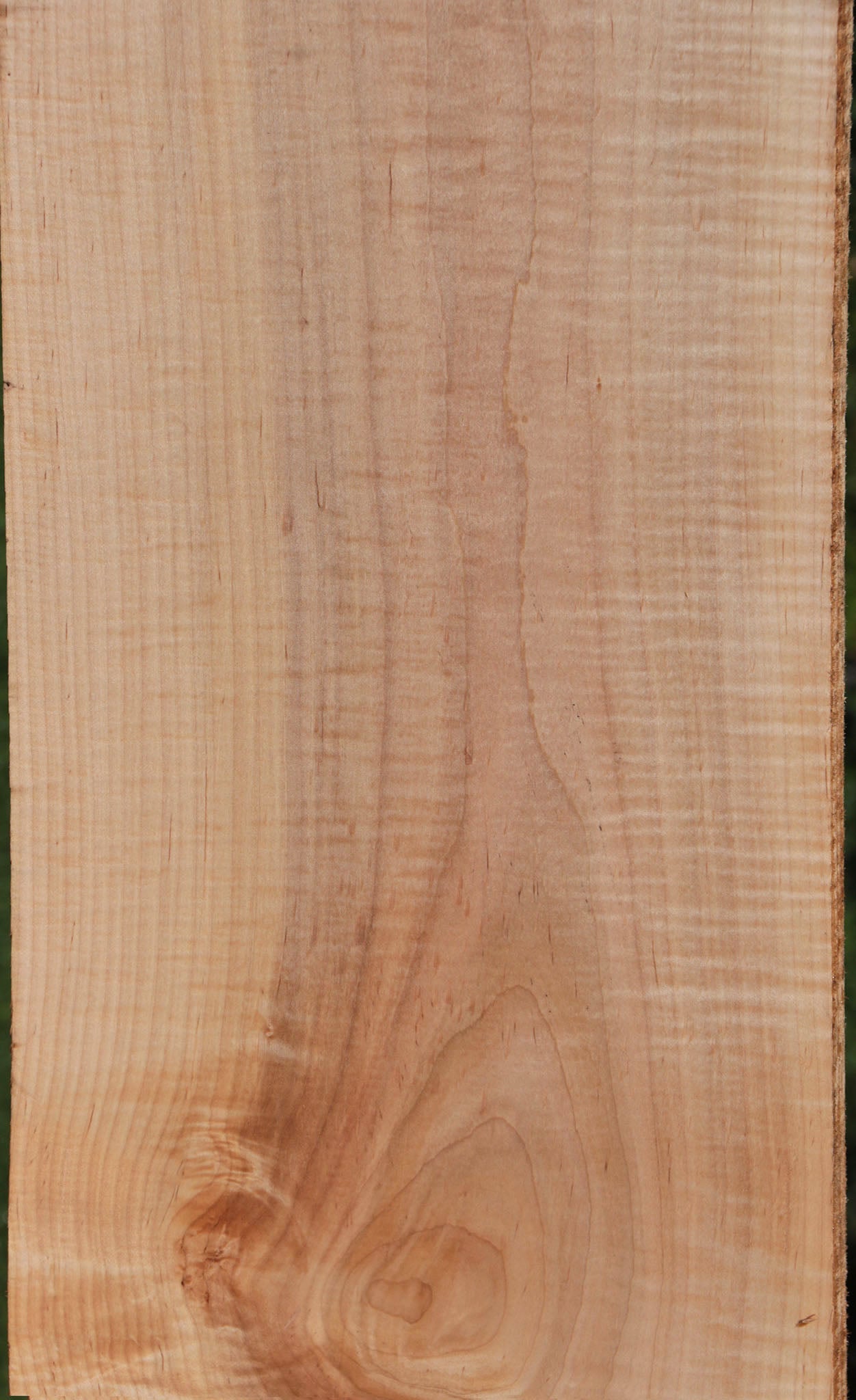 Extra Fancy Curly Eastern Red Maple Lumber