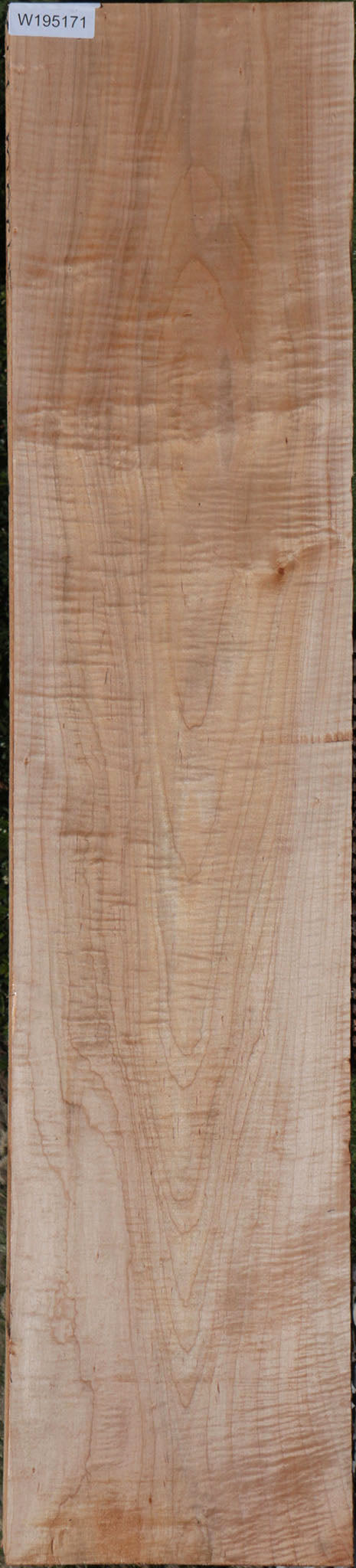 Extra Fancy Curly Eastern Red Maple Lumber