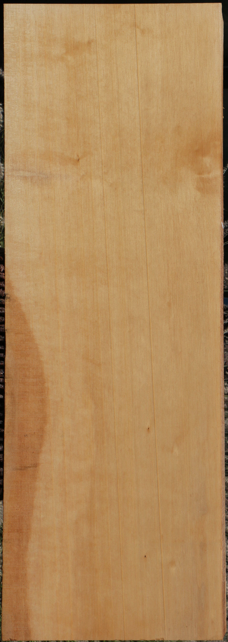 Jelutong Lumber