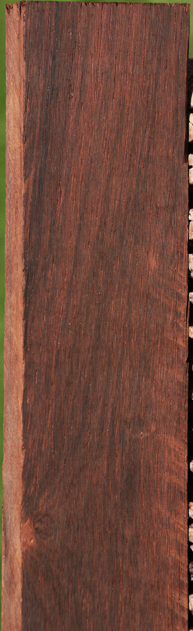 Brazilian Rosewood Lumber