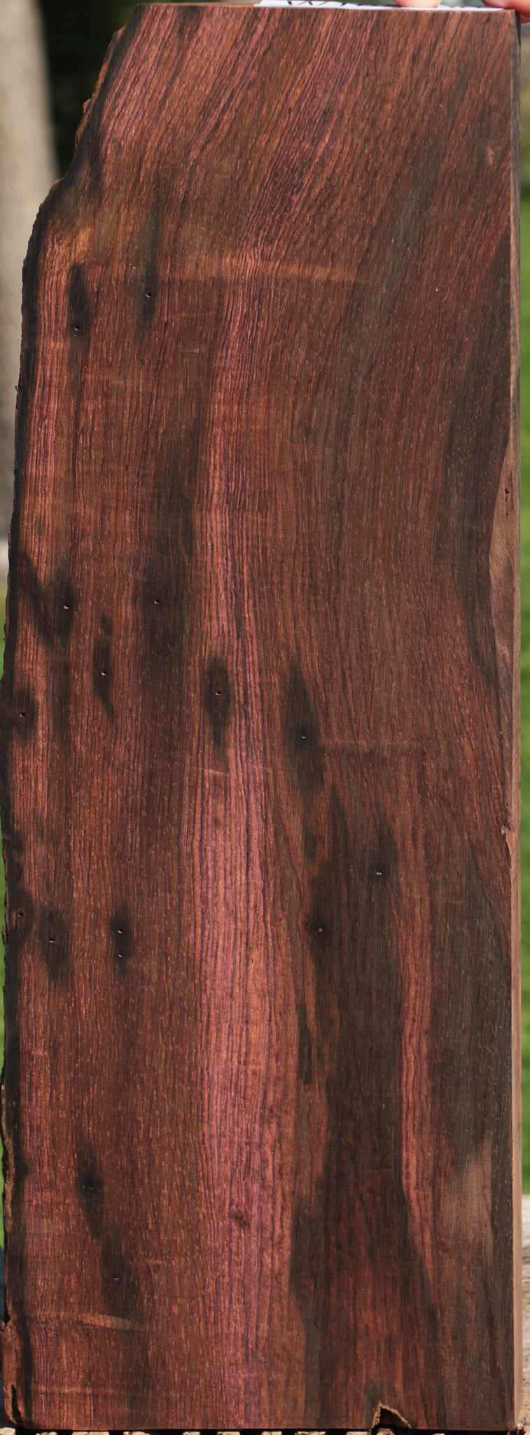 Brazilian Rosewood Live Edge Lumber