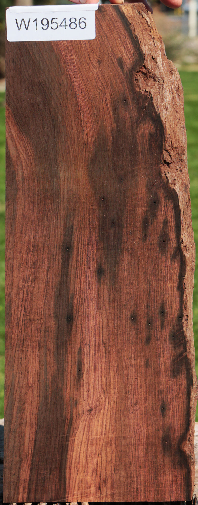 Brazilian Rosewood Live Edge Lumber