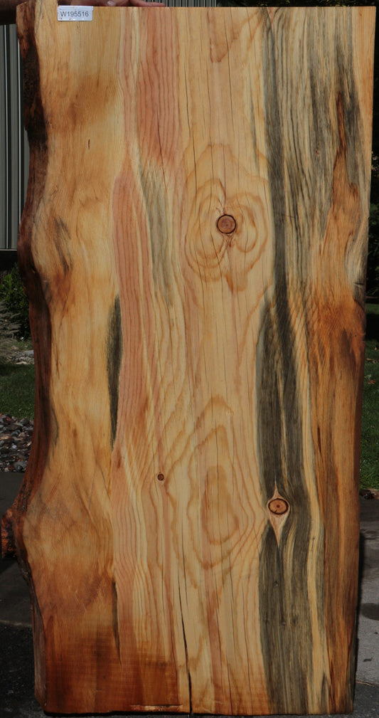 Rustic Blue Ponderosa Pine Live Edge Slab (Free Shipping Excluded)