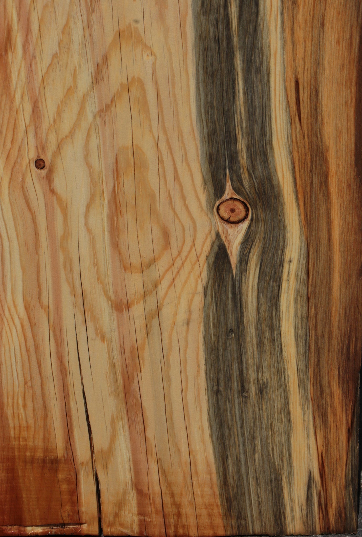 Rustic Blue Ponderosa Pine Live Edge Slab (Free Shipping Excluded)