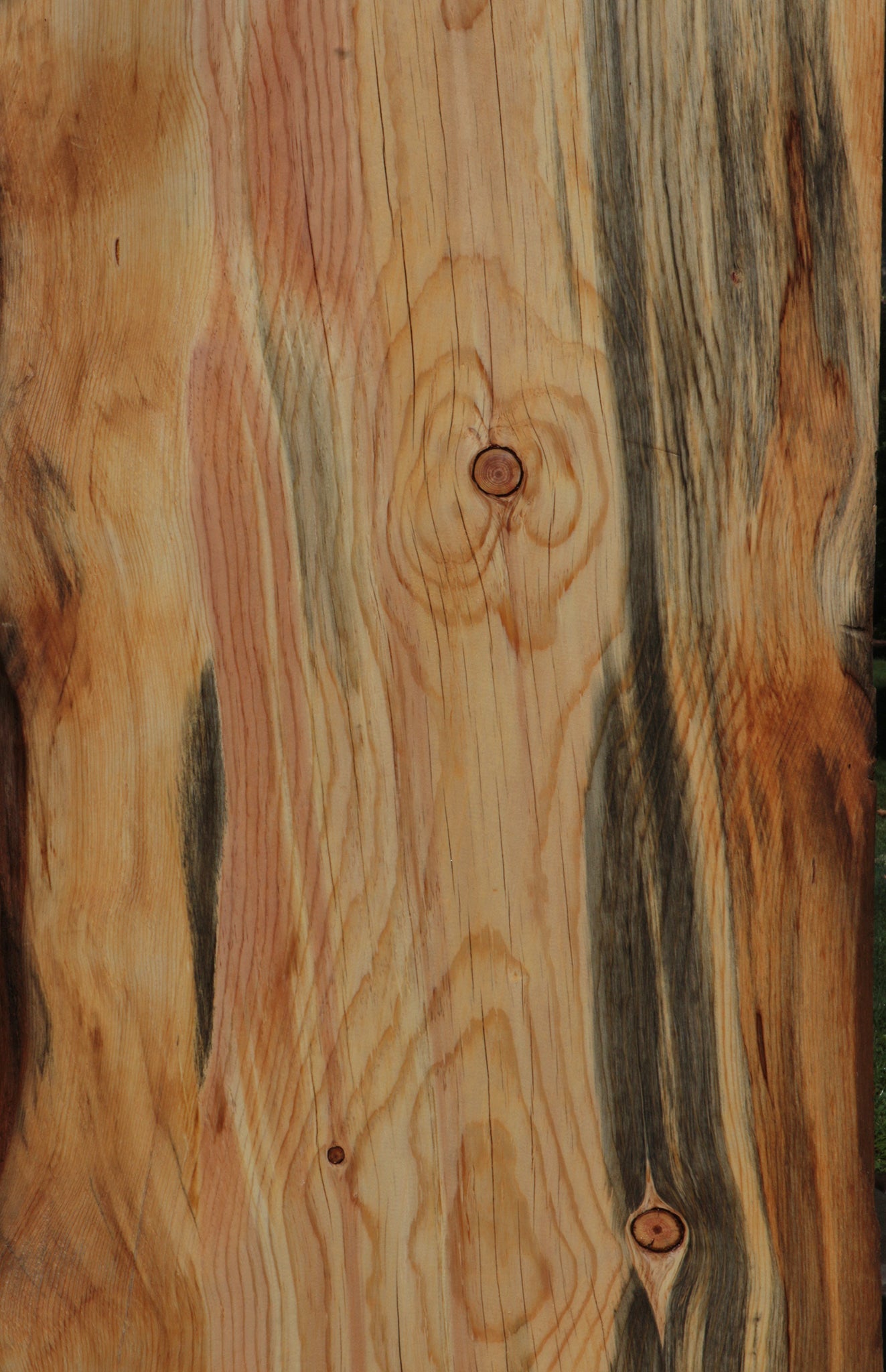 Rustic Blue Ponderosa Pine Live Edge Slab (Free Shipping Excluded)
