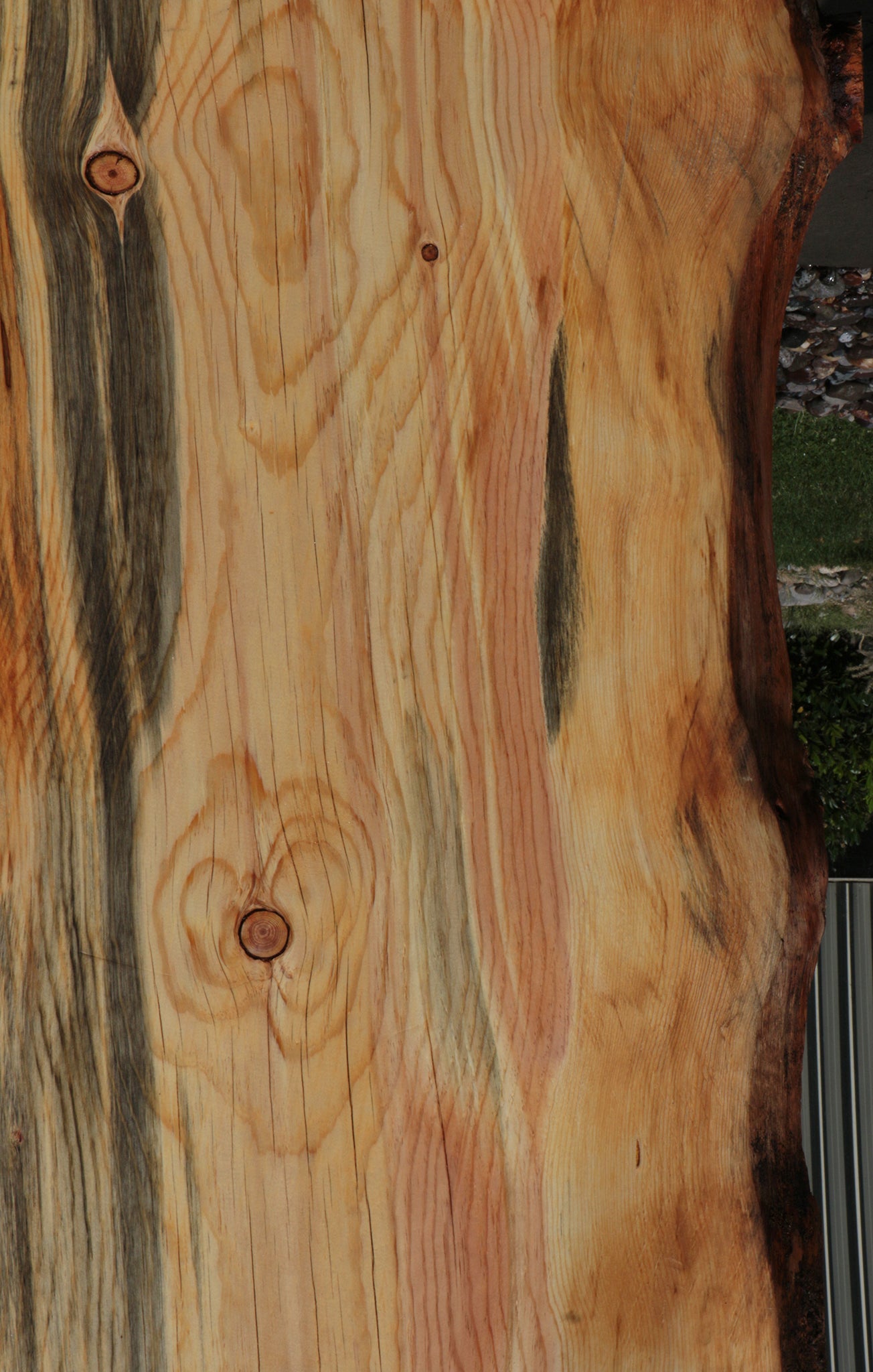 Rustic Blue Ponderosa Pine Live Edge Slab (Free Shipping Excluded)