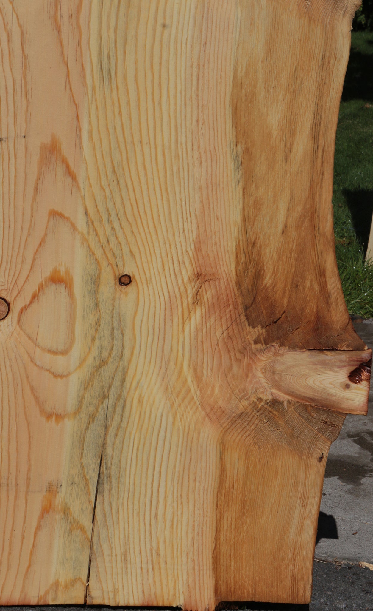 Rustic Blue Ponderosa Pine Live Edge Slab (Free Shipping Excluded)