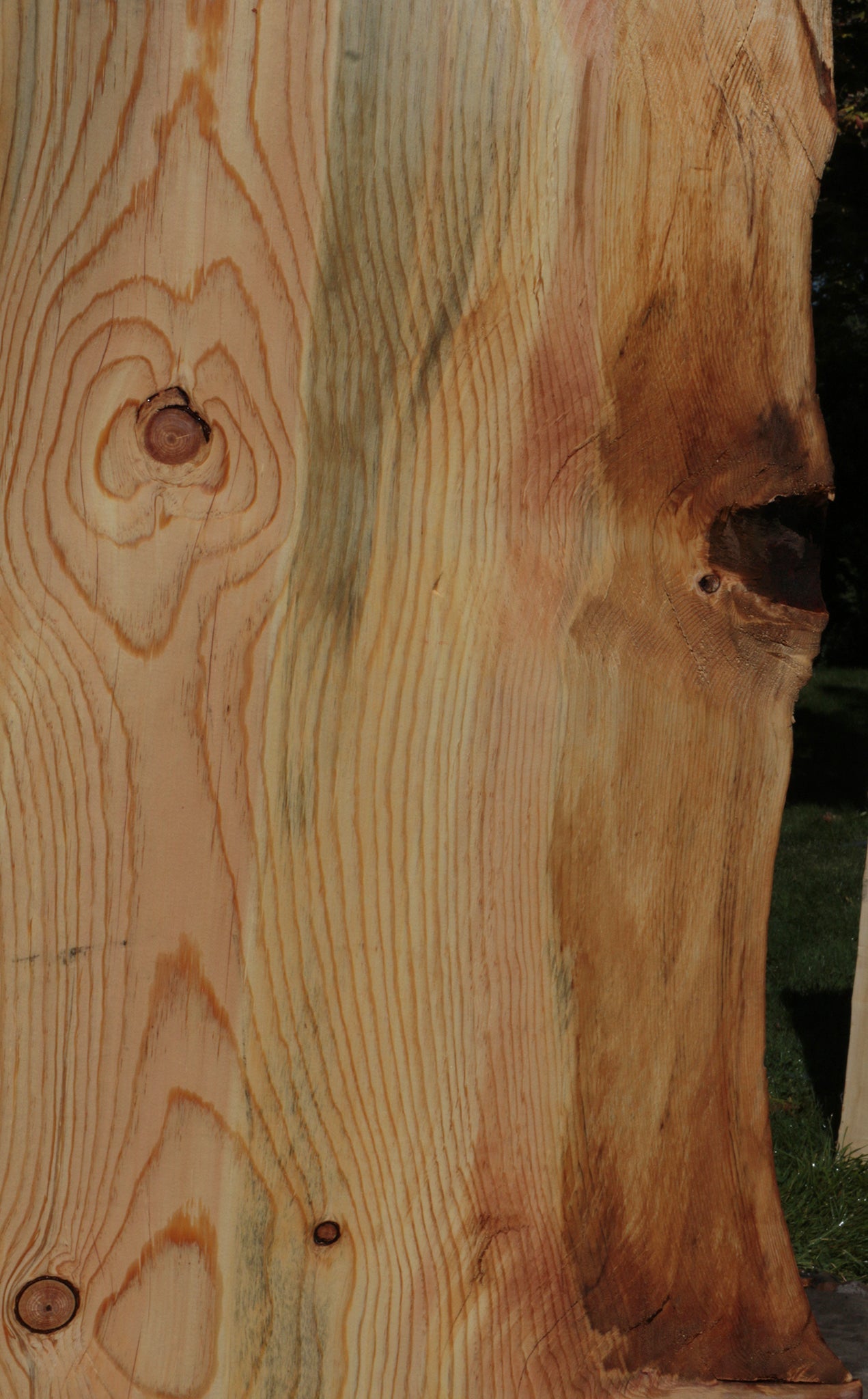 Rustic Blue Ponderosa Pine Live Edge Slab (Free Shipping Excluded)