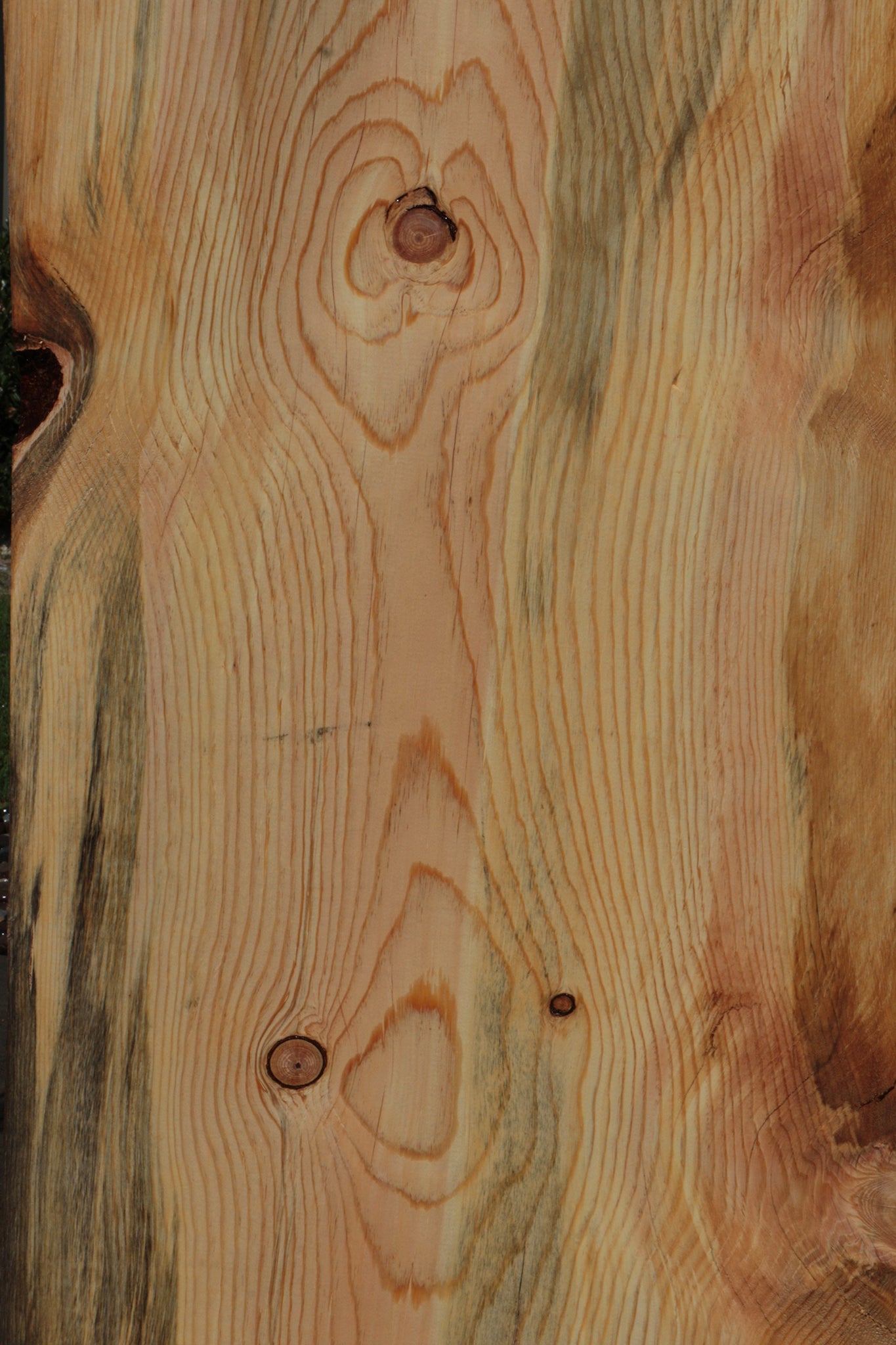 Rustic Blue Ponderosa Pine Live Edge Slab (Free Shipping Excluded)