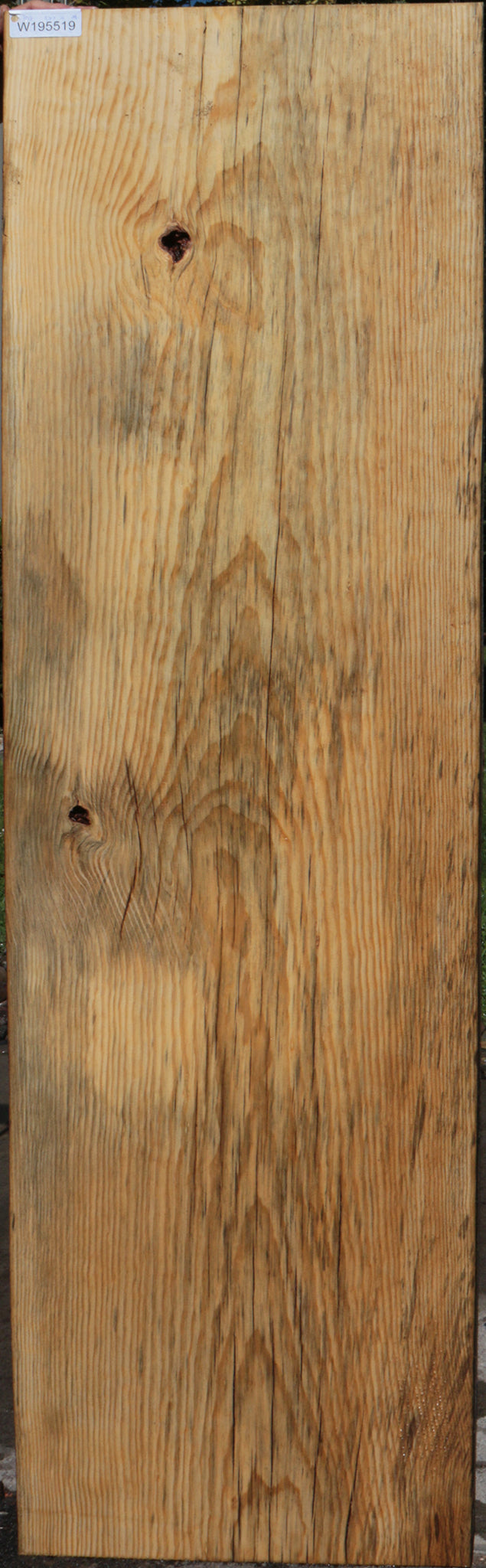 Rustic Blue Sugar Pine Slab