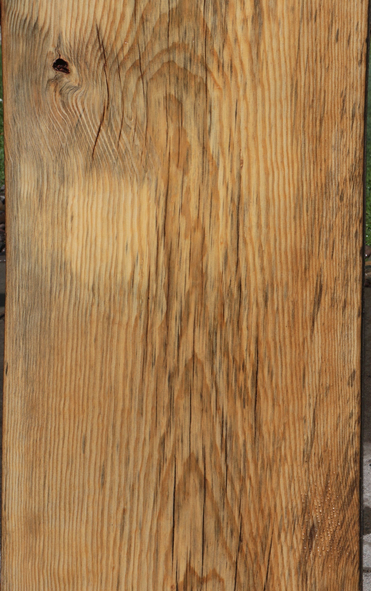 Rustic Blue Sugar Pine Slab